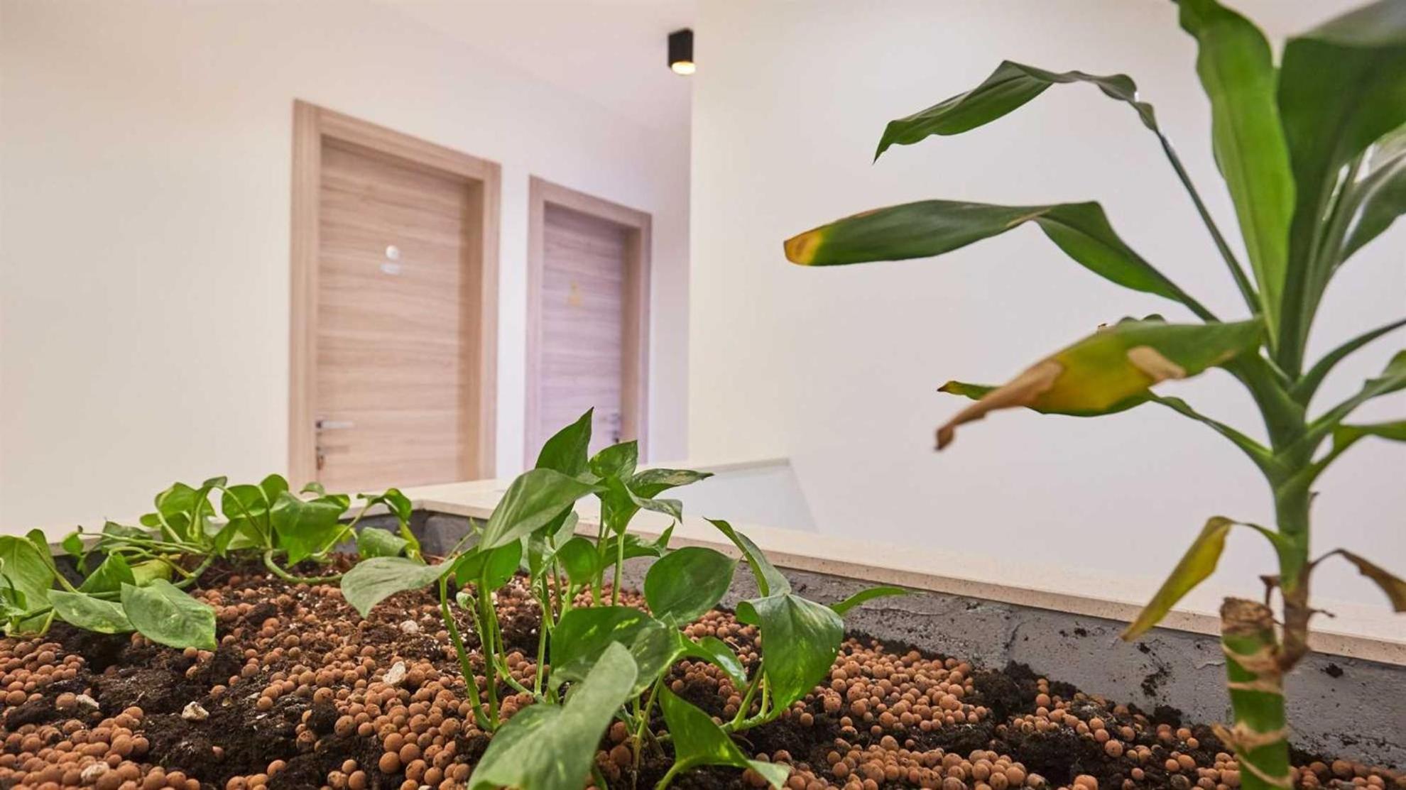 Boutique Garden Rooms Dubrovnik Ngoại thất bức ảnh